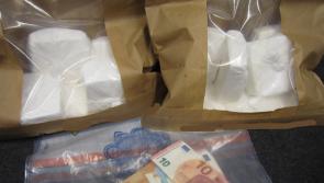 LATEST: €245,000 worth of cocaine and cash seized by Gardaí in Kildare drug raid