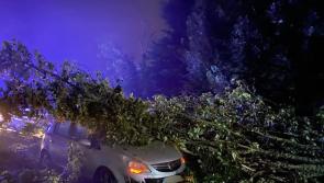 Irish motorist has lucky escape after tree falls on car during Storm Ellen