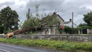 WATCH: Resident 'could feel the house shaking' during Storm Ellen 