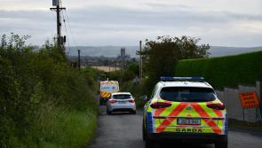 Gardaí arrest four men during morning raid in Kilkenny 