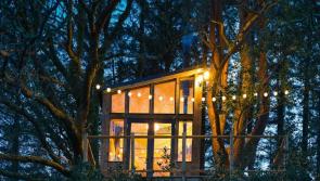This treehouse retreat in Donegal is sure to give your friends a touch of staycation envy