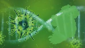 REVEALED: Counties with the highest incidence of Covid-19 since beginning of pandemic