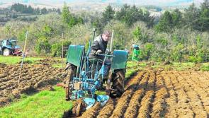 Excitement building in Carlow for National Ploughing Championships digital events 
