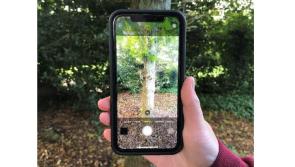 Prizes to  be won - Irish forestry photo competition is launched