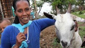 Carlow shoppers! Why not give a life-changing 'virtual' gift this Christmas 