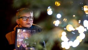 Irish Cancer Society commemorates 9,000 lives lost this year with 9,000 lights