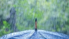 CARLOW WEATHER: Heavy and possibly thundery showers expected today (May 10)