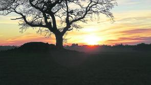 CARLOW WEATHER: Dry and bright today (Christmas Day) with some showers