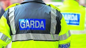 BREAKING: Man arrested as gardaí make huge drugs and cash seizure in Limerick bust
