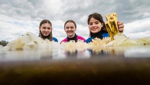 Carlow students encouraged to enter BT Young Scientist & Technology Exhibition 2022
