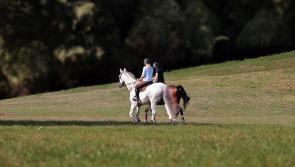 Horse Road Safety Appeal is launched as survey reveals 4 in 5 horse riders experience issues on Irish roads
