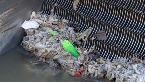 Clean Coasts and Irish Water urge the people of Carlow to ‘Think Before You Flush’