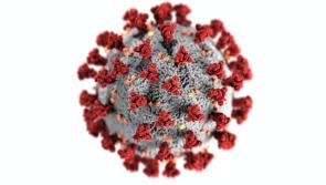 New coronavirus variant being monitored by WHO