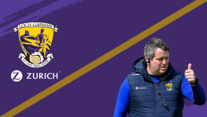 Wexford appoint Davy Fitzgerald's successor 