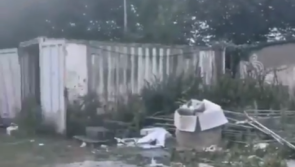 "Women's teams treated as side show", says petition to IRFU 