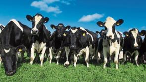 'Significant financial boost' for almost 85,000 farmers this week