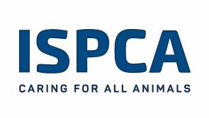 Carlow woman fined for animal cruelty