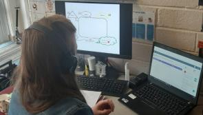 Waiting times in Carlow for speech and language therapy labelled a 'disgrace'