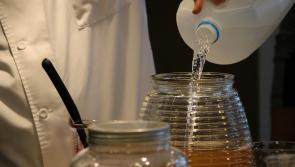 On the kombucha craze? New alert issued over 'alcohol content' problem 