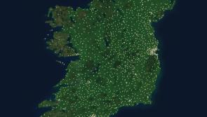 Carlow story features in new GAA Grassroots book