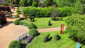 €1m Fund launched to develop Sensory Gardens countrywide
