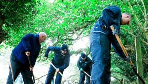 PICTURES: Gardaí combing Kildare woodlands in search for Deirdre Jacob clues 