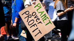 'The world is burning' - How Budget 2022 aims to tackle climate change 