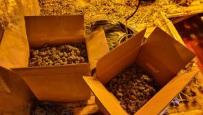 Gardaí have seized €150,000 worth of suspected cannabis in Monaghan
