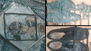 APPEAL: Gardai seek public help to identify female remains found 26 years ago