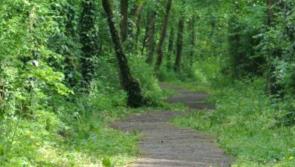 Local TD welcomes €100,000 funding for outdoor activity projects in Carlow