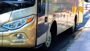 Green light given for Carlow town bus service