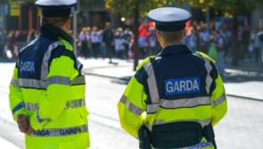 €70,000 worth of suspected cocaine and cannabis seized by Gardaí

