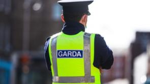 €360,000 worth of suspected cannabis seized and one man arrested