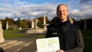 REVEALED: Ireland’s best public parks and gardens awarded green flags 