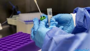 New drug treatment aimed at tackling new variant approved in UK 