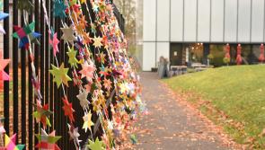 Carlow helps One Million Stars project reach 100,000 stars milestone