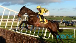 Carlow trainer Willie Mullins plots path to Cheltenham for chasing star 