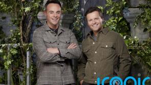 Ant and Dec take aim at Boris Johnson and alleged No. 10 Christmas party on I'm A Celebrity