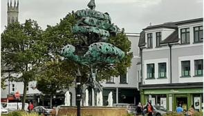 Town in Carlow selected for development to tackle dereliction and revitalisation