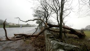 Met Éireann issues status yellow wind warning for seven counties this afternoon