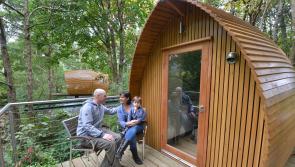 Planning permission sought for new glamping cabins in Carlow village