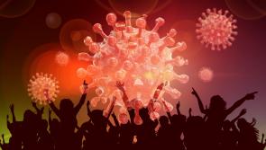 READER'S POLL: Should people go ahead with New Year's Eve party plans?