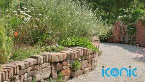 'Gardens aren’t just for looking at' - Prolific garden designer predicts trends for 2022
