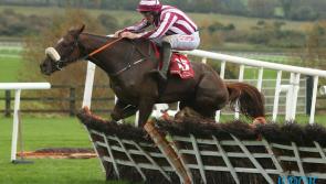 Ben Dundee gallops to Cheltenham following loss at Leopardstown 