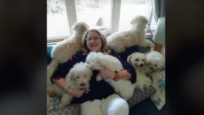 "They're my babies!" Five dogs rescued from burning house gutted in Christmas Eve fire 