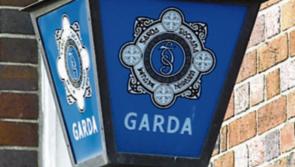 Garda&iacute; appeal for witnesses following criminal damage in Carlow