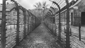 Carlow College to Host Public Lecture with Holocaust Survivor