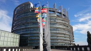 Two Irish MEPS vote against European Parliament resolution condemning Russian attack