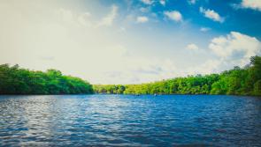 Over €10,000 in grants announced to bring benefits to communities and local waters in Carlow

