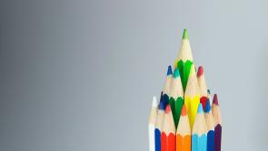 Creativity and critical thinking programme recruiting Carlow mentors for Irish students